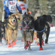 Musher Mishi Konno runs along the trail at the start of the Iditarod on March 2, 2019.